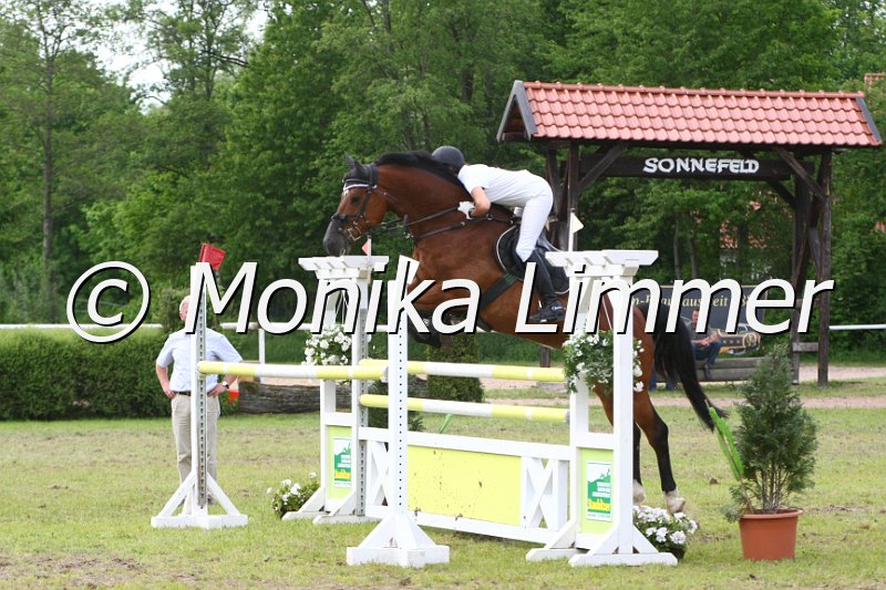 204M6577_Spring Mx.JPG